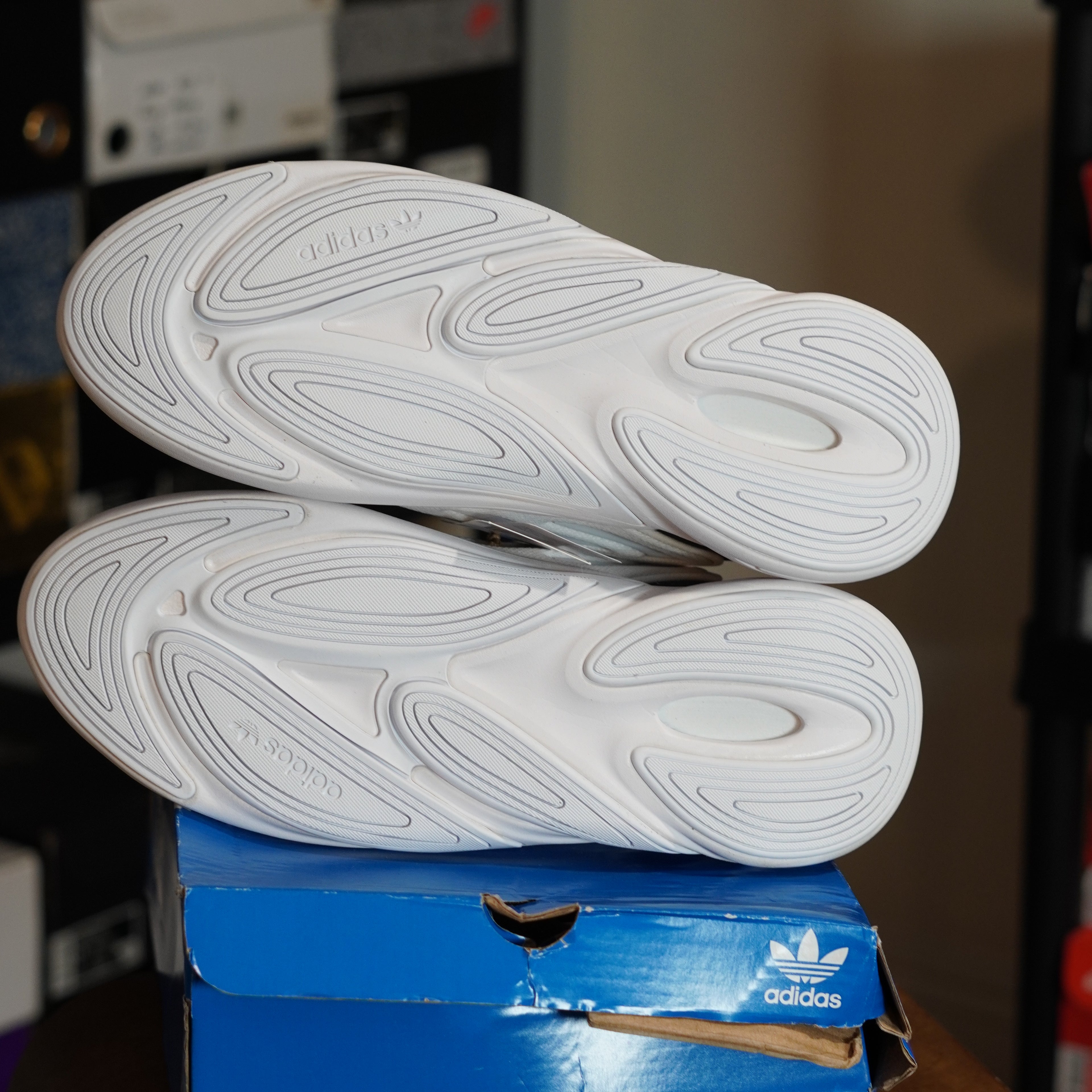 adidas Ozelia White Black